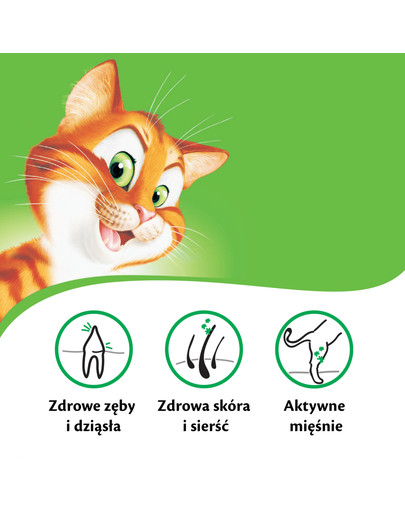 KITEKAT Zelenina a biele rýby 12 kg