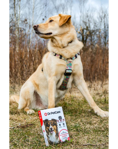 Dr PetCare MAX Biocide Collar Obojok proti blchám a hmyzu pre psov veľkých plemien 75 cm
