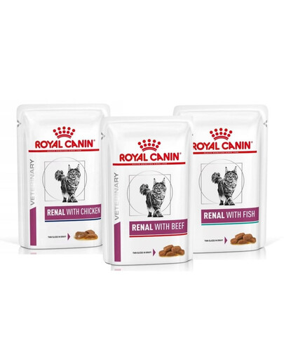 ROYAL CANIN Renal Feline Zmes chutí 36 x 85 g