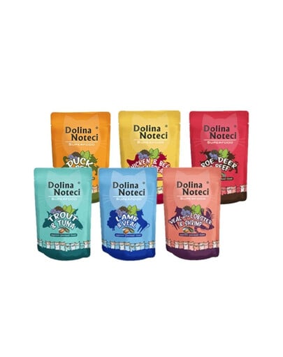 DOLINA NOTECI Superfood zmes chutí 24x85 g