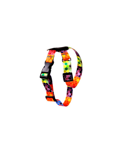 FERA Octagon Postroj pre psa 20 mm (36-60cm)
