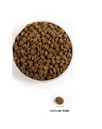 ACANA Pacifica Dog 2 kg