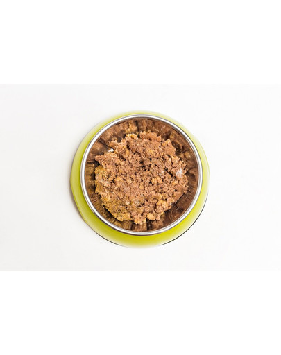 ARUBA Dog Organic Morčacie s ovsom, cviklou a artičokmi 100 g