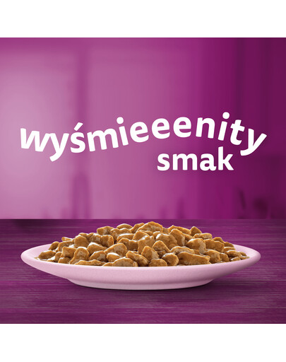 WHISKAS Adult 85g vrecúško krmiva pre dospelé mačky v omáčke s lososom