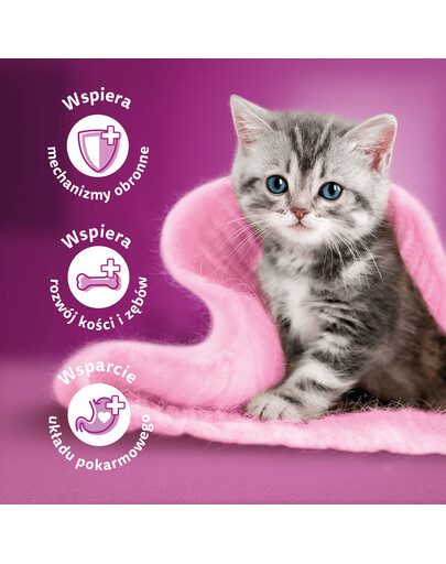 WHISKAS Junior klasické krmivo kuracie a hovädzie mäso v omáčke 4x85g
