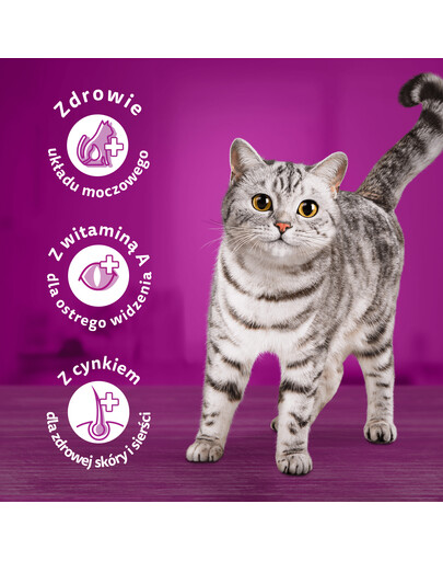 WHISKAS Adult 300g krmivo pre dospelé mačky s lahodným hovädzím mäsom