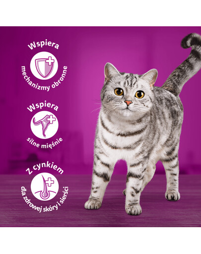 WHISKAS Senior krmivo pre dospelé mačky s lahodným hovädzím mäsom
