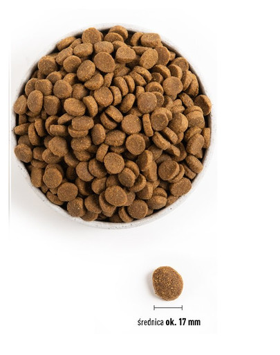 ACANA Adult large breed 11.4 kg