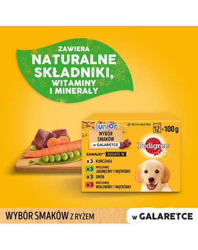 PEDIGREE Pedigree Junior v želé 48x100g