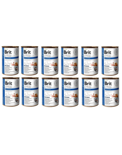 BRIT Veterinary Diet Cat Recovery Salmon 12x400 g
