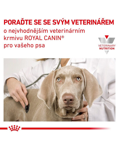 ROYAL CANIN Veterinary Diet Dog Gastrointestinal Low Fat 12 kg granule so zníženým obsahom tuku pre dospelých psov s ochorením tráviaceho traktu