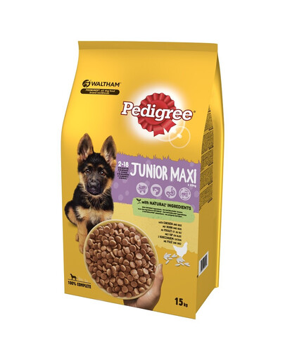 PEDIGREE Junior pre veľké rasy s kuracím mäsom a ryžou 15kg + ponožky GRATIS