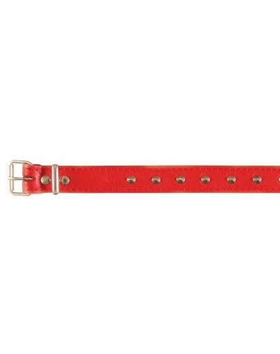 TRIXIE Basic Obojok nitovaný (L) 46 - 55 cm / 22 mm