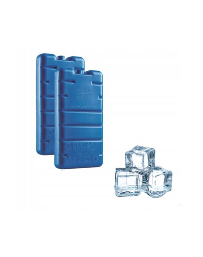 CURVER Ice Pack Vložka do cestovnej chladničky 2 ks.