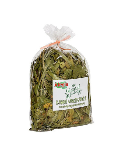 ALEGIA Lance-wort 100g pochúťka pre hlodavce a králiky