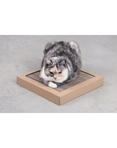 CARTON+ PETS ​Obojstranné kartónové škrabadlo pre mačky Tom
