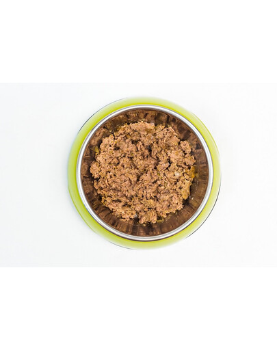 ARUBA Dog Organic Husacie, brokolica, čučoriedky a topinambur 100 g