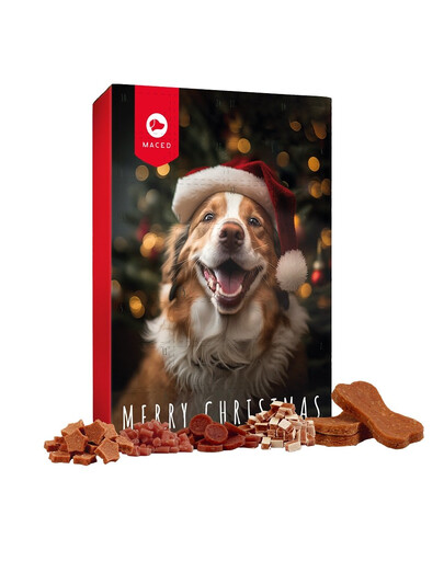 MACED Adventný kalendár pre vášho psa