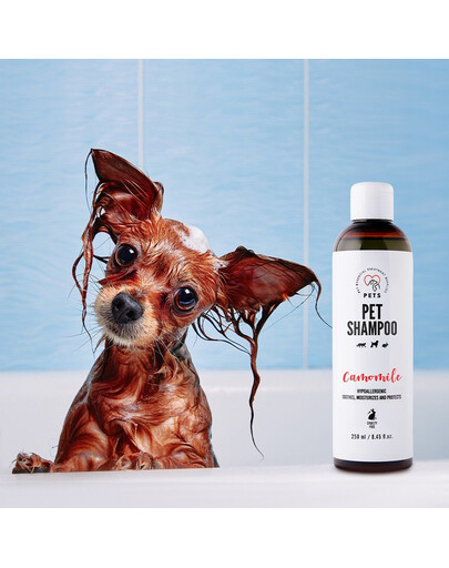 PETS Shampoo Camomile szampon do skóry wrażliwej 250 ml