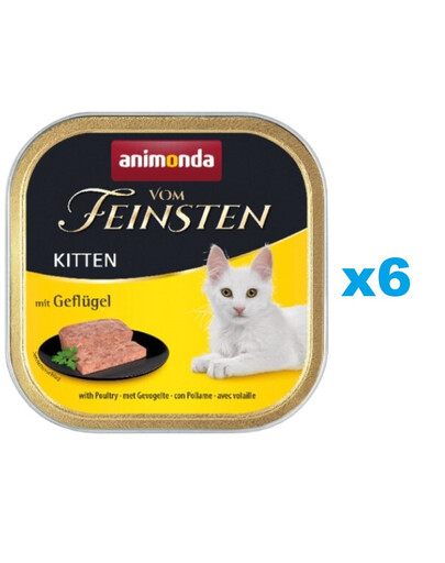 ANIMONDA Vom Feinsten Kitten hydina 6 x 100 g