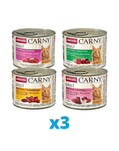 ANIMONDA Carny mix príchutí 12 x 200 g