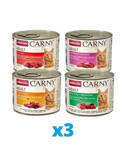 ANIMONDA Carny mix príchutí 12 x 200 g