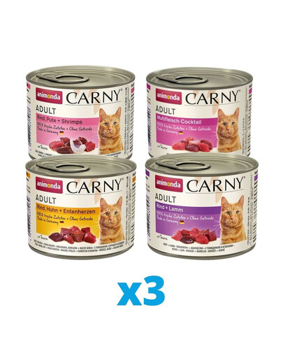 ANIMONDA Carny mix príchutí 12 x 200 g