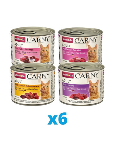 ANIMONDA Carny mix príchutí 24 x 200 g