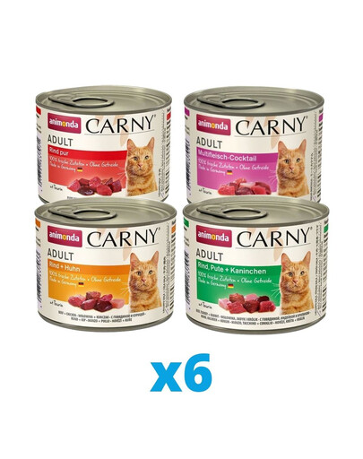ANIMONDA Carny mix príchutí 24 x 200 g