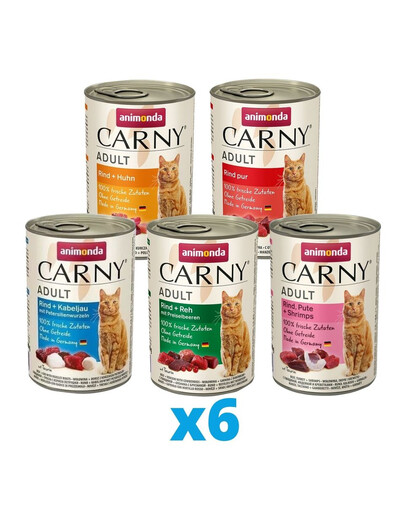 ANIMONDA Carny mix príchutí 30 x 400 g