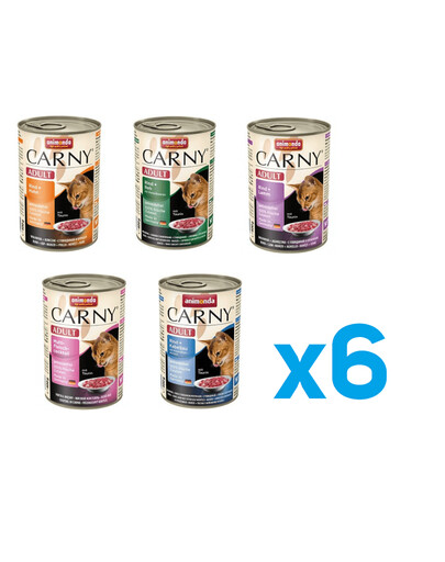 ANIMONDA Carny Mix príchutí 30 x 400 g