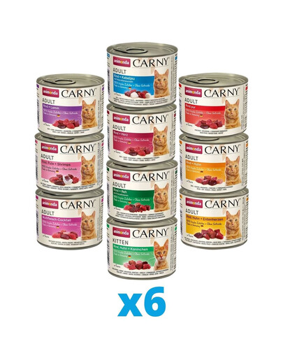 ANIMONDA Carny mix 10 príchutí 60 x 200 g