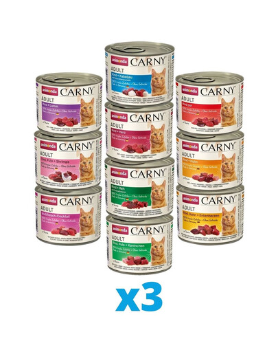 ANIMONDA Carny mix 10 príchutí 30 x 200 g