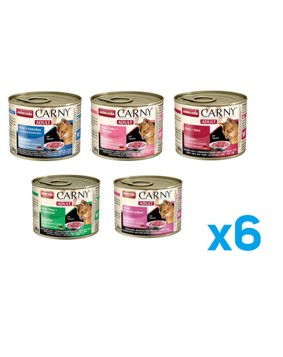 ANIMONDA Carny mix príchutí 30 x 200 g