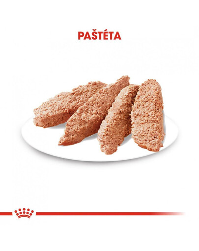 ROYAL CANIN Exigent Dog Loaf 85g kapsička s paštétou pre maškrtné malé psy