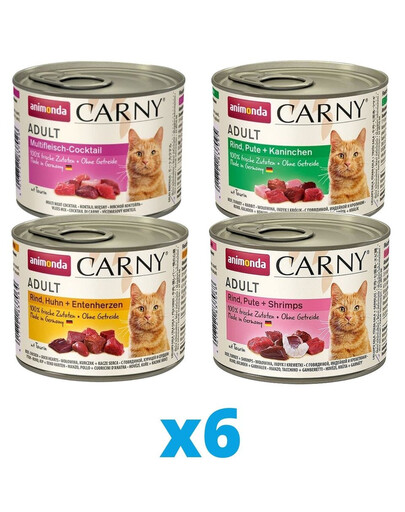 ANIMONDA Carny mix príchutí 24 x 200 g