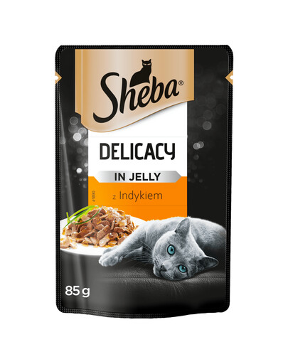 SHEBA Delicacy in jelly Morčacie 24x85g