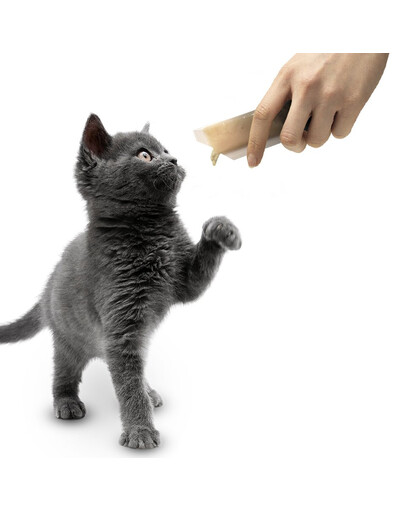 APPLAWS Cat Treat Chicken Puree 10 x (8 x 7g)