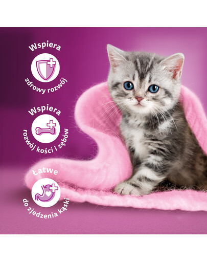 WHISKAS Junior kapsičky pre mačiatka v želé: kuracie, morčacie, hydinové a kačacie mäso 48x85g
