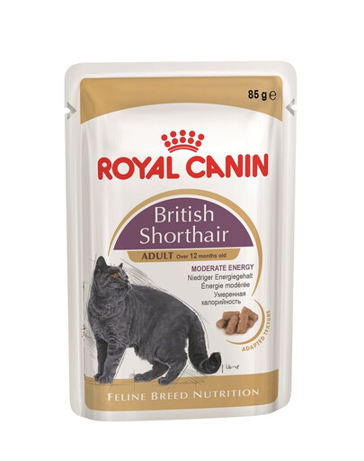 ROYAL CANIN British Shorthair 48x85 g