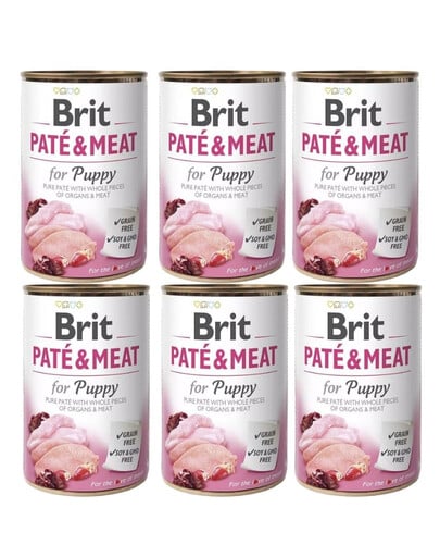 BRIT Pate&Meat Puppy 6x400 g