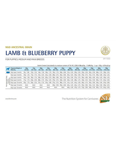 N&D Dog LG puppy medium & maxi lamb & blueberry 12 kg