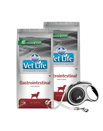 FARMINA Vet Life Gastrointestinal Dog 2 x 12 kg + FLEXI New Comfort L Tape 8 m ZADARMO