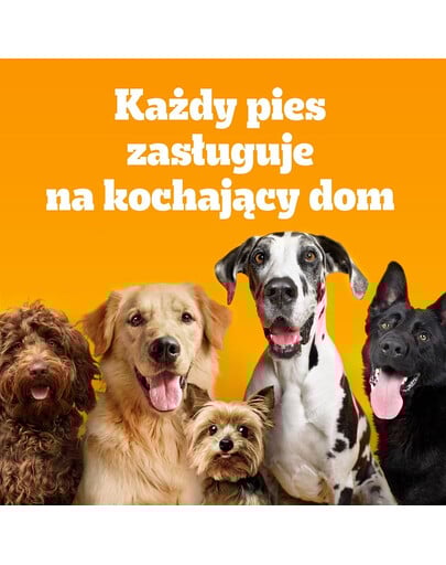PEDIGREE Adult MINI 12x500 g s kuracím mäsom a zeleninou suché kompletné krmivo pre dospelé psy malých plemien
