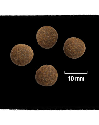 CRAVE Granule 2,8 kg s morčacím a kuracím mäsom (kompletné krmivo bez obilnín pre dospelých psov)