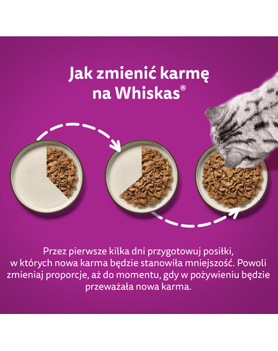 WHISKAS Adult Krémové variácie v omáčke 48x85g s kuracím mäsom a zeleninou, jahňacím a morčacím mäsom