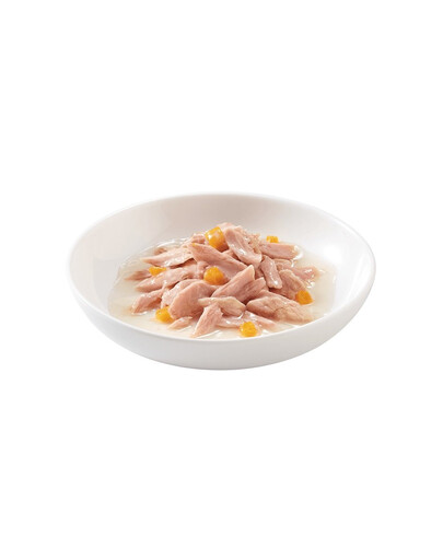 SCHESIR tuniak a tekvica vo vývare 70G