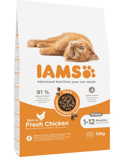 IAMS Cat Kitten & Junior All Breeds Chicken 10 kg