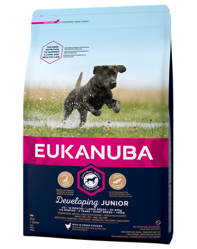 EUKANUBA Developing Junior Large Breed Granule pre psov 3 kg