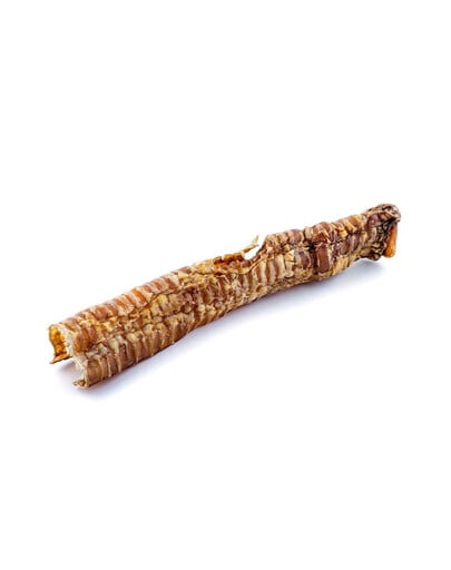 MACED Beef trachea - prírodná maškrta pre psov 25 cm